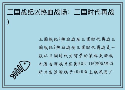 三国战纪2(热血战场：三国时代再战)