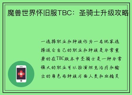 魔兽世界怀旧服TBC：圣骑士升级攻略